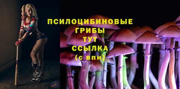 индика Бугульма