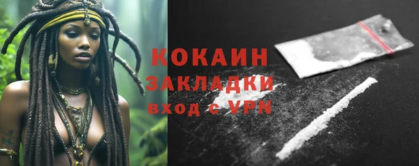 индика Бугульма