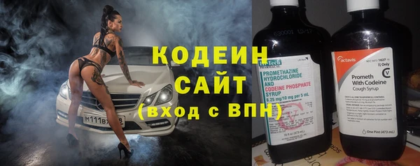 ГАЛЛЮЦИНОГЕННЫЕ ГРИБЫ Бородино