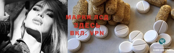 индика Бугульма