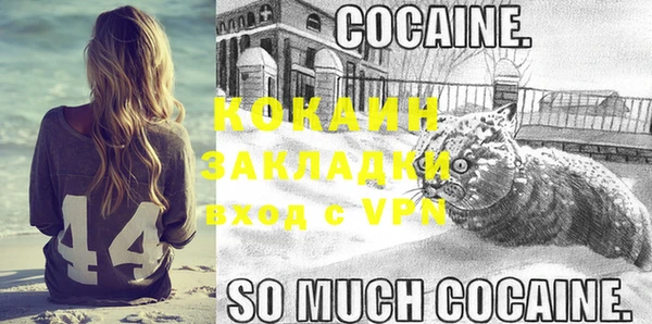 ГАЛЛЮЦИНОГЕННЫЕ ГРИБЫ Бородино