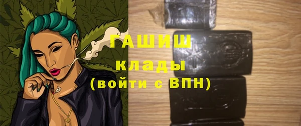 индика Бугульма