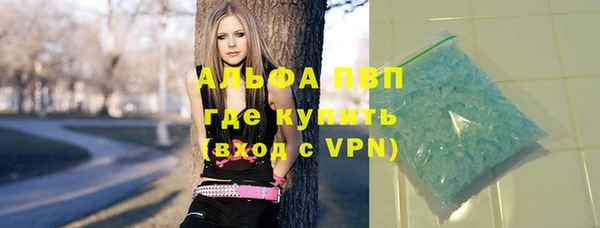 ГАЛЛЮЦИНОГЕННЫЕ ГРИБЫ Бородино