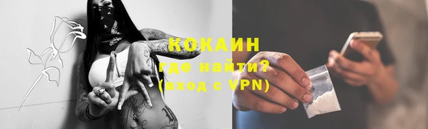 индика Бугульма
