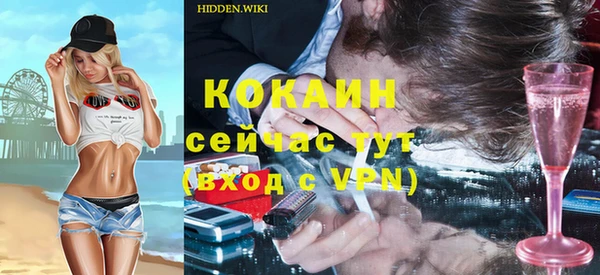 индика Бугульма