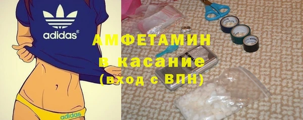 ГАЛЛЮЦИНОГЕННЫЕ ГРИБЫ Бородино