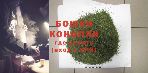 ГАЛЛЮЦИНОГЕННЫЕ ГРИБЫ Бородино