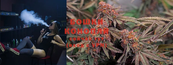 индика Бугульма